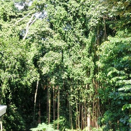 Latugu Homestay Ubud ภายนอก รูปภาพ
